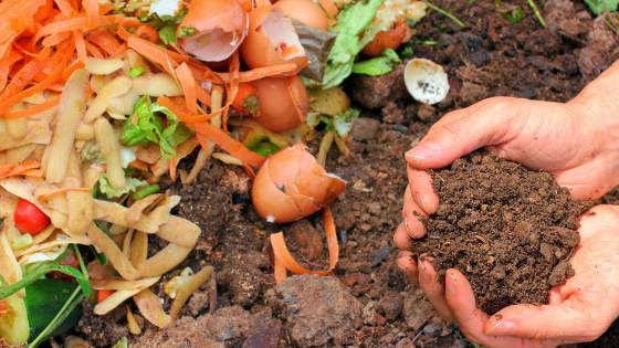 Not only is composting great for the environment, but it's also easy. Here's how you can start today.